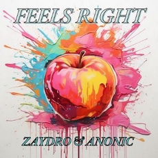 Feels right (extended mix)